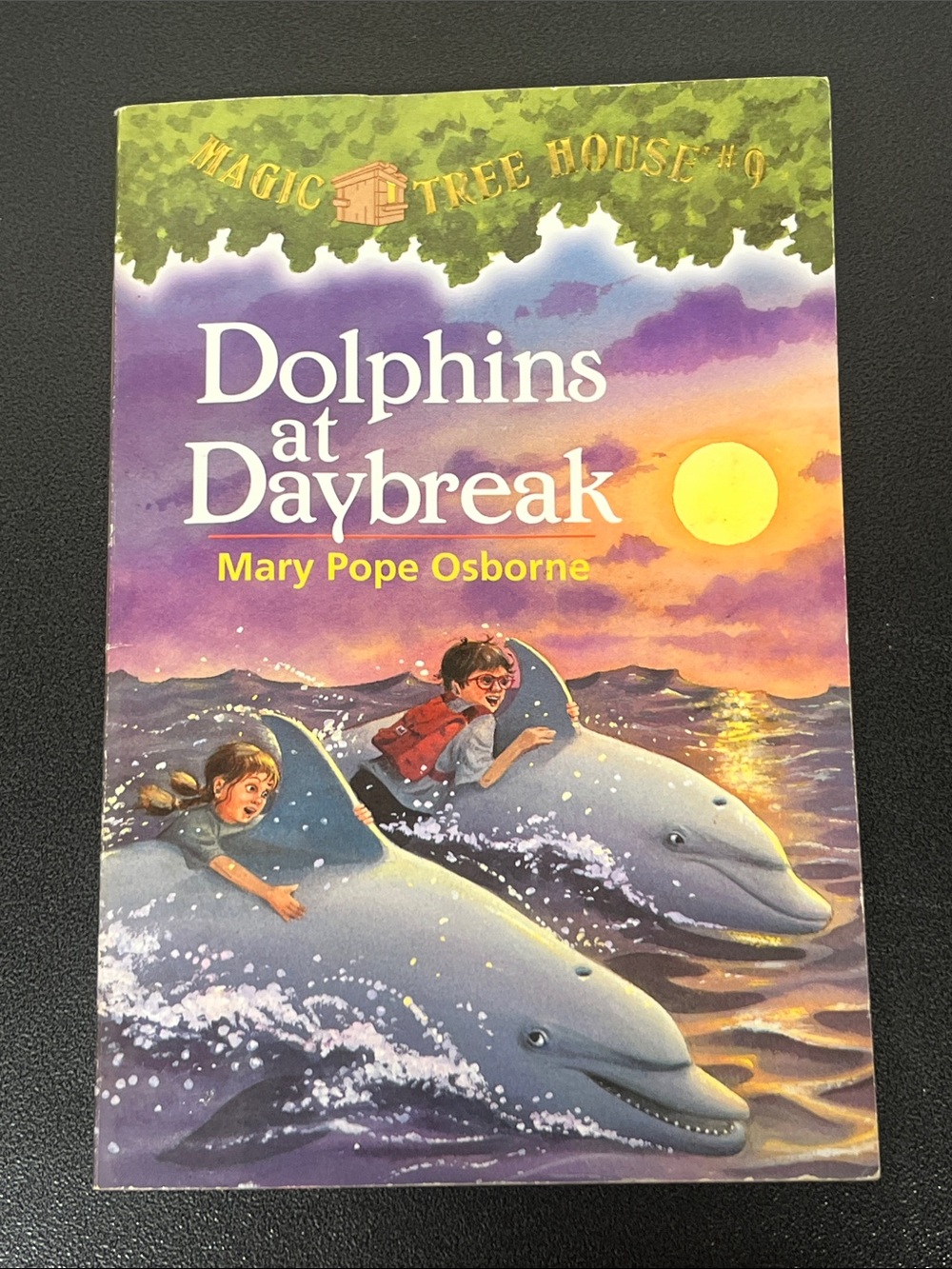 Magic Tree House: Dolphins at Daybreak Book 9 - by Mary Pope Osborne